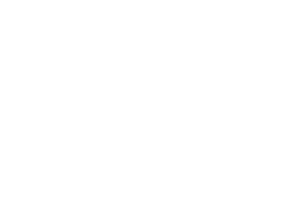 LEOBAT CHAD